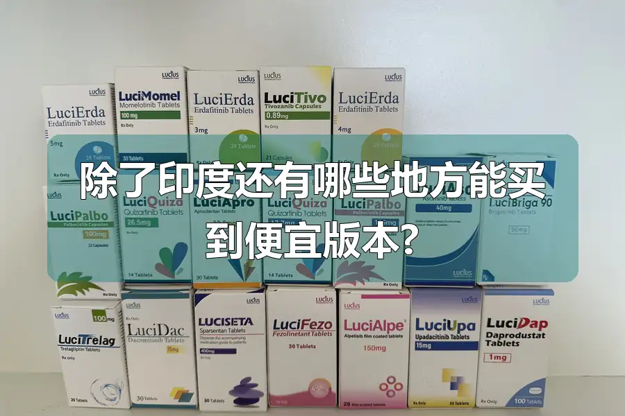 除了印度还有哪些地方能买到便宜版本?
